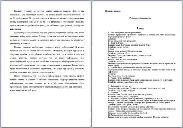 Организация индивидуальной работы над ошибками по русскому языку (доклад)