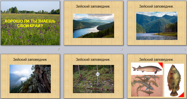 Зейский заповедник презентация