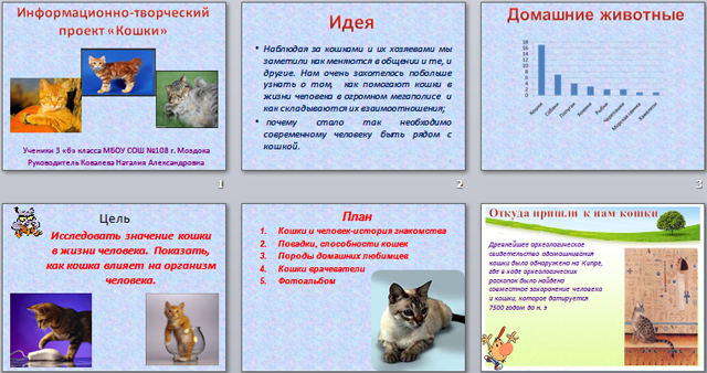 Кошки (презентация)