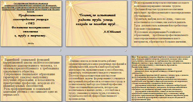 Профессиональное самоопределение учащихся с ОВЗ. Воспитание положительного отношения к труду и творчеству (презентация)