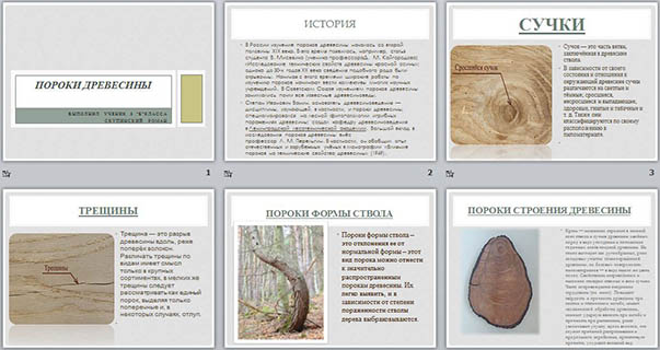 Пороки древесины (презентация)
