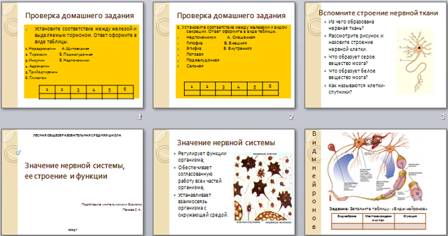 Значение нервной системы, её строение и функции презентация