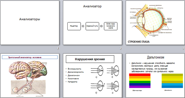 Анализаторы презентация