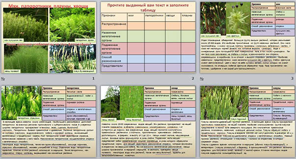 Мхи и папоротники таблица