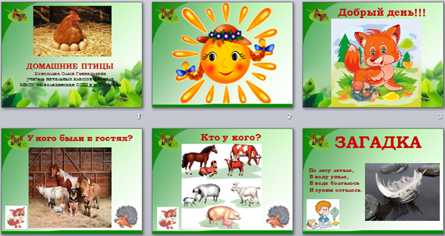 Птицы домашние презентация