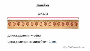 Длина деления. Шкала деления линейки. Линейка с делениями. Длина деления шкалы.