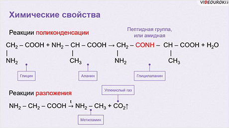 Реакция поликонденсации аминокислот