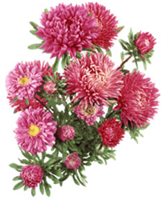 Олимпиада по православию 4 класс задания и ответы 2021 2022