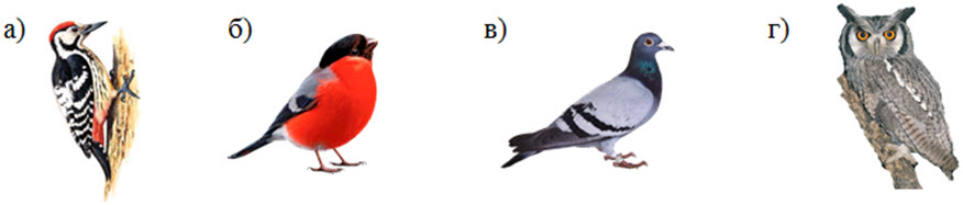 Олимпиада по православию 4 класс задания и ответы 2021 2022