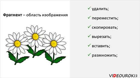 Чтобы размножить фрагмент изображения нужно